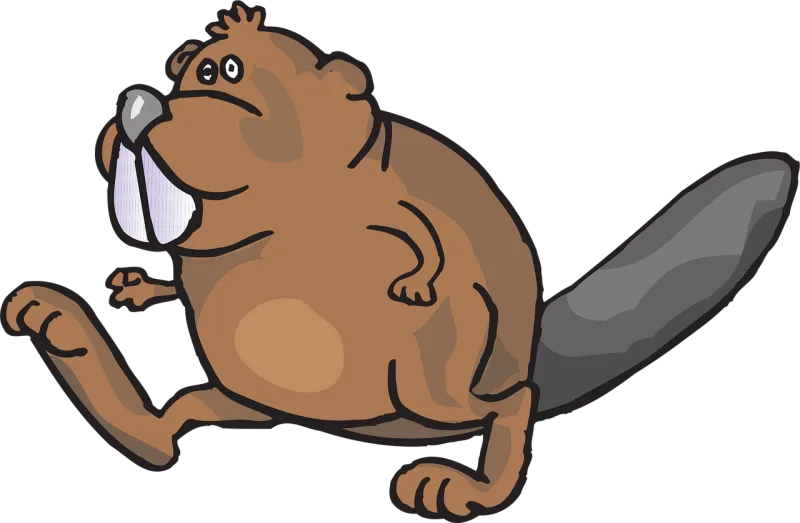 Beaver Walking Nature Stickdatei – Sport