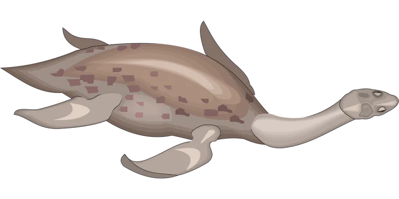 Long Neck Creature Stickdatei – Kinder