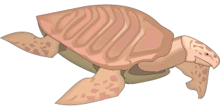 Turtle Reptile Ancient Stickdatei