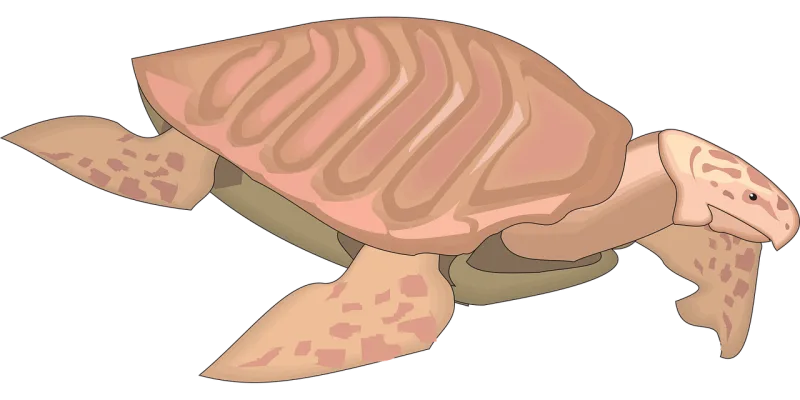Turtle Reptile Ancient Stickdatei – Tiere
