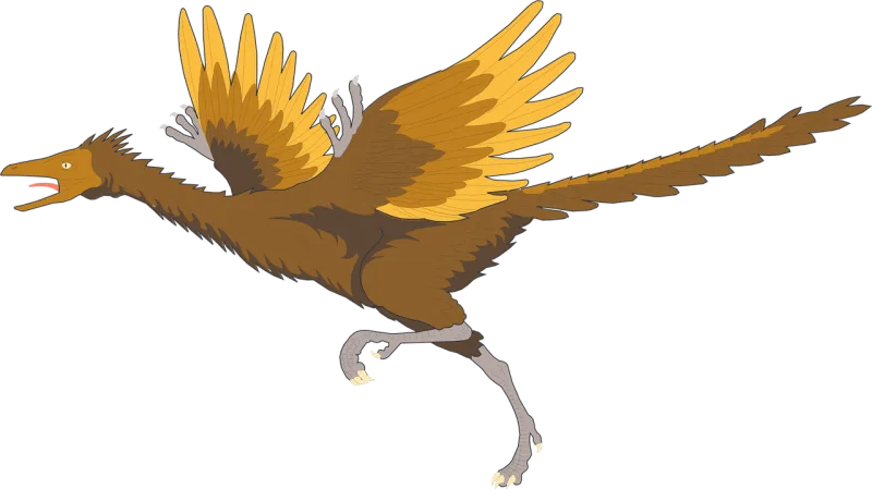 Bird Running Wings Stickdatei – Natur
