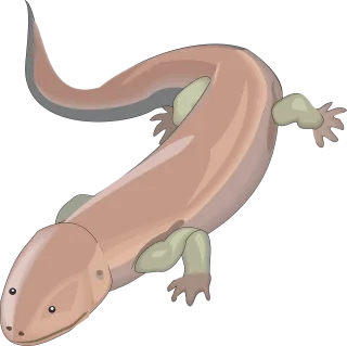 Lizard Reptile Wildlife Stickdatei – Kinder