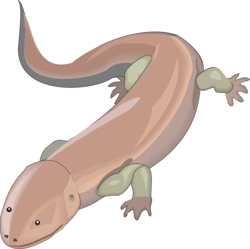 Lizard Reptile Wildlife Stickdatei – Kinder
