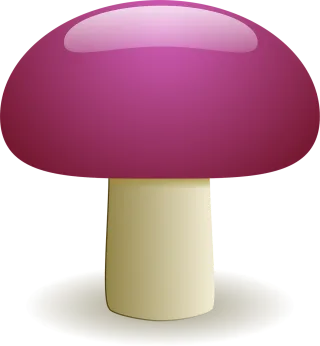Mushroom Fungus Natural Stickdatei – Natur