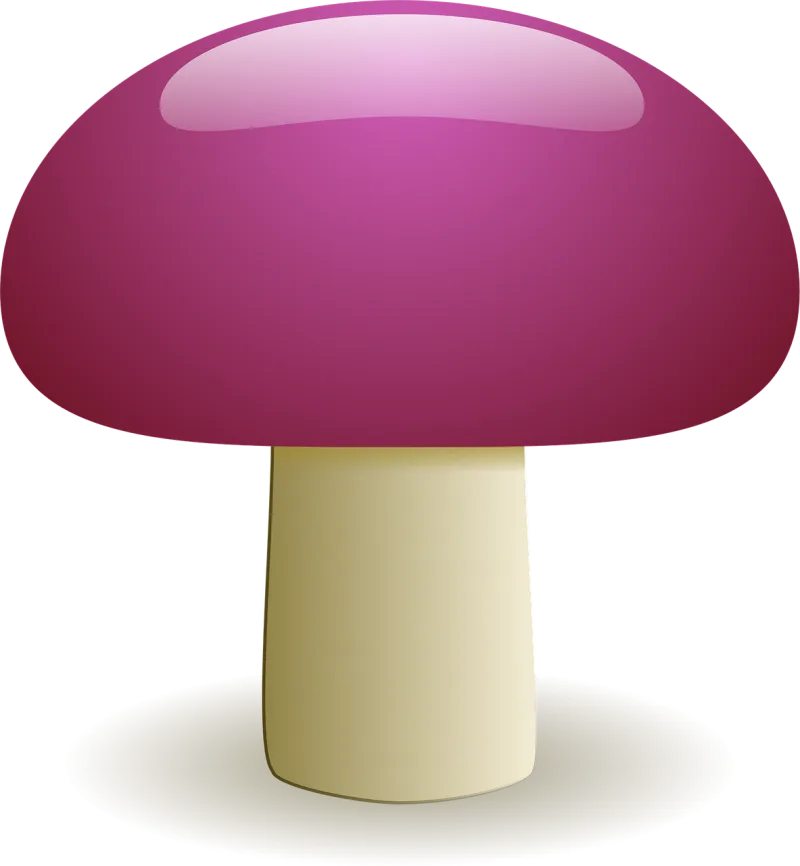 Mushroom Fungus Natural Stickdatei – Natur