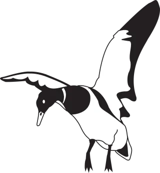 Black White Bird Stickdatei