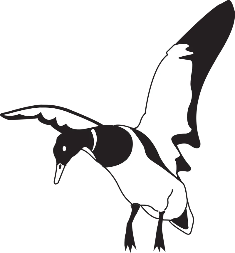 Black White Bird Stickdatei – Natur