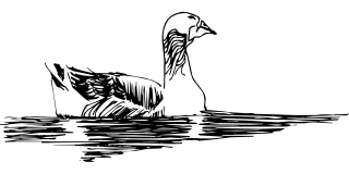 Water Sketch Bird Stickdatei