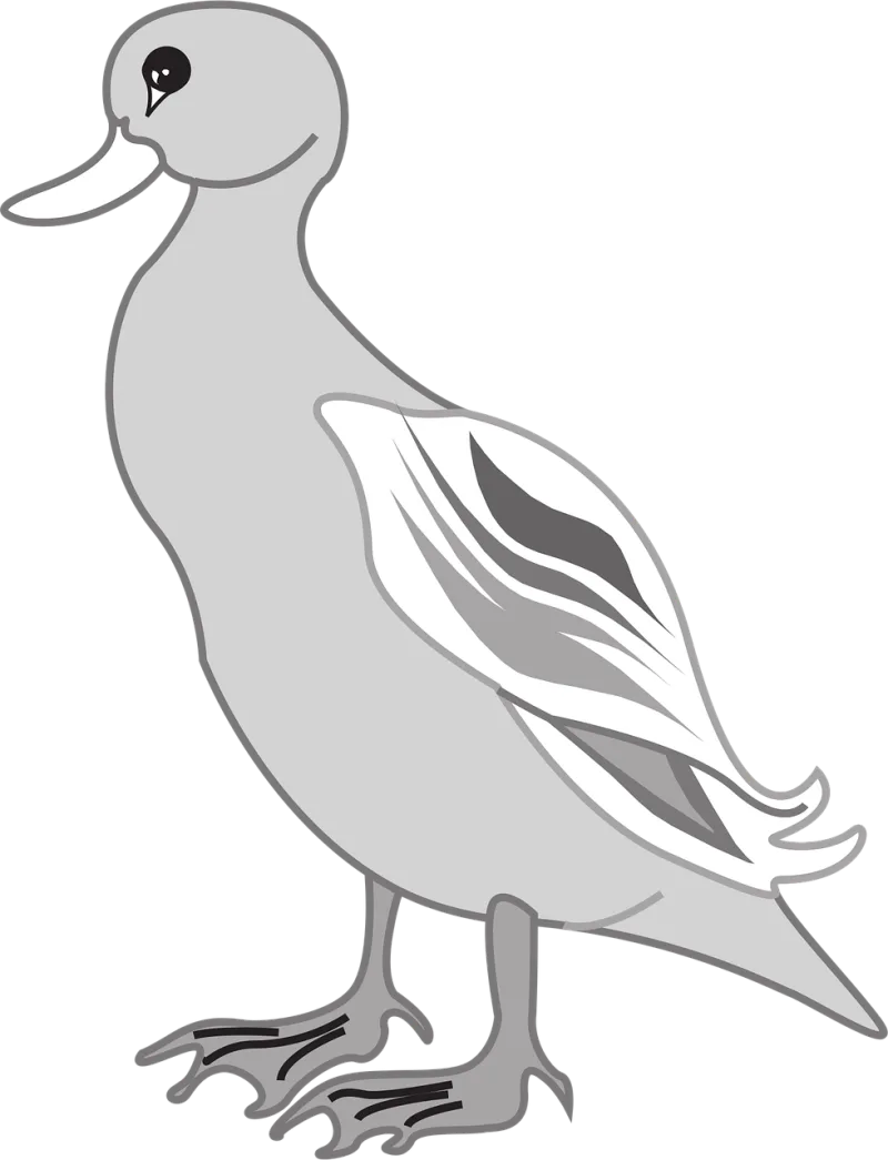 Gray Bird Duck Stickdatei – Natur
