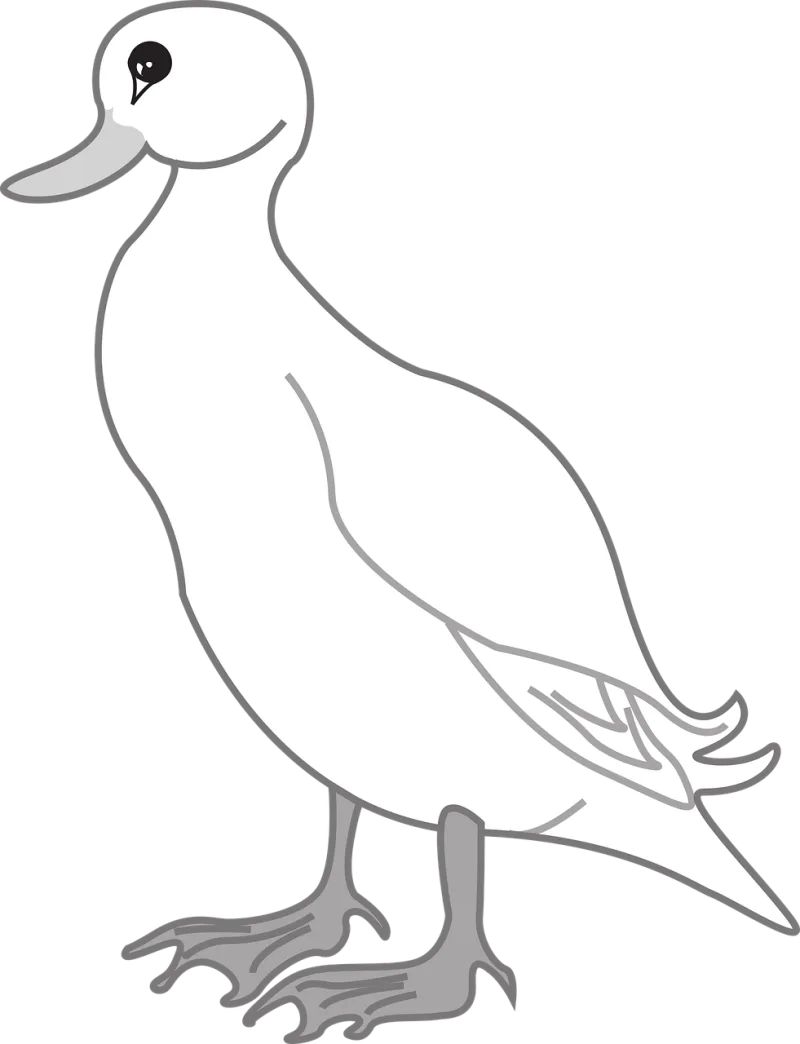 Duck Bird Animal Stickdatei – Natur