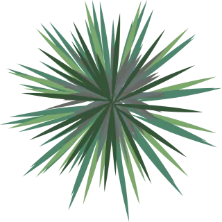 Landscape Palm tree Landscape plan Stickdatei
