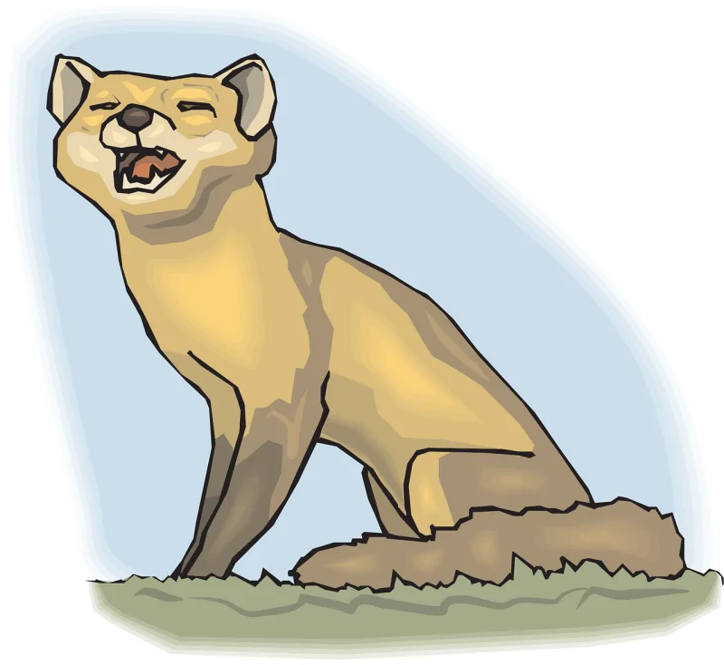 Baby Nature Sky Stickdatei – Tiere