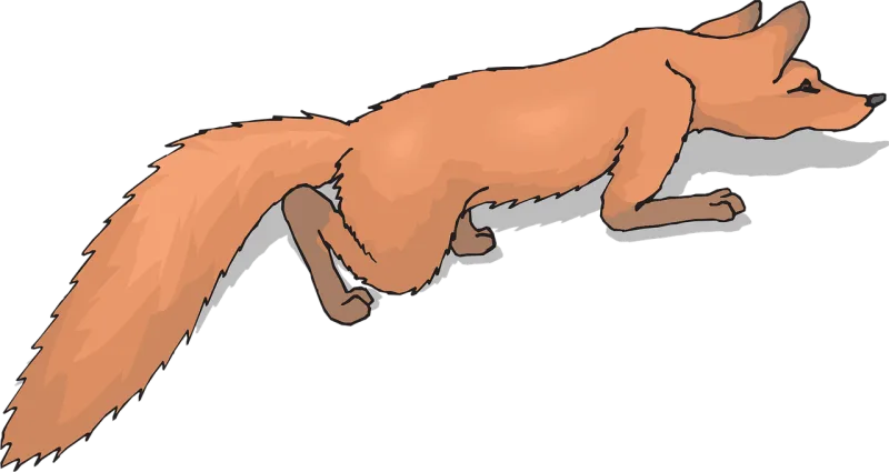 Orange Fox Tail Stickdatei – Tiere