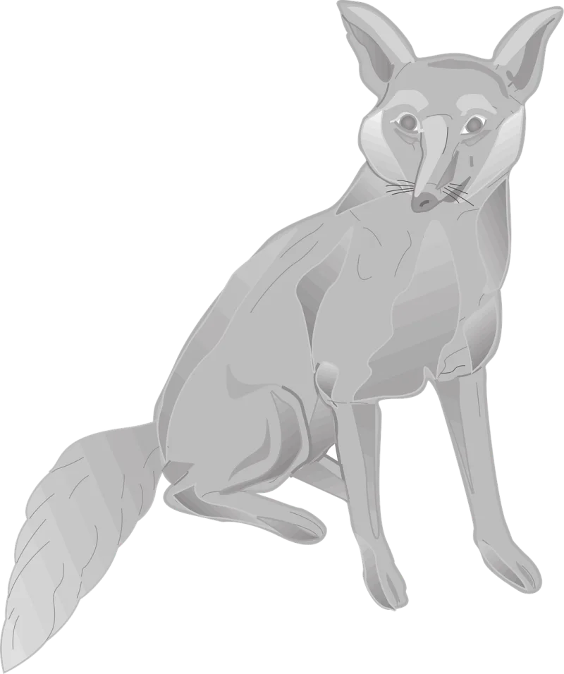 Fox Grey Animal Stickdatei – Tiere
