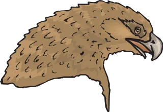 Head Brown Eagle Stickdatei