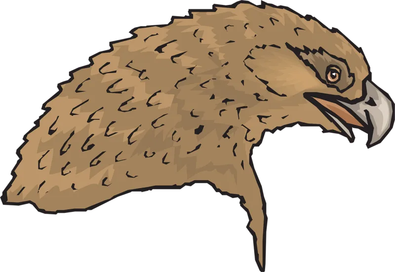 Head Brown Eagle Stickdatei – Natur