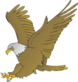 Eagle Animal Beak Stickdatei
