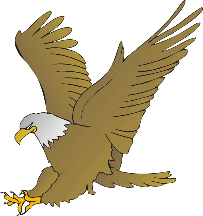 Eagle Animal Beak Stickdatei – Natur