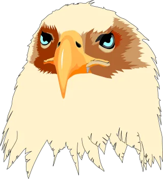 Head Eyes Eagle Stickdatei
