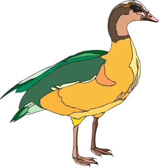 Duck Bird Fowl Stickdatei