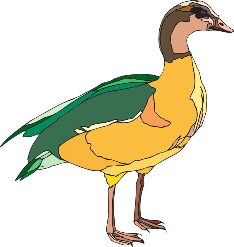 Duck Bird Fowl Stickdatei – Natur