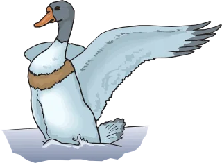 Water Blue Duck Stickdatei