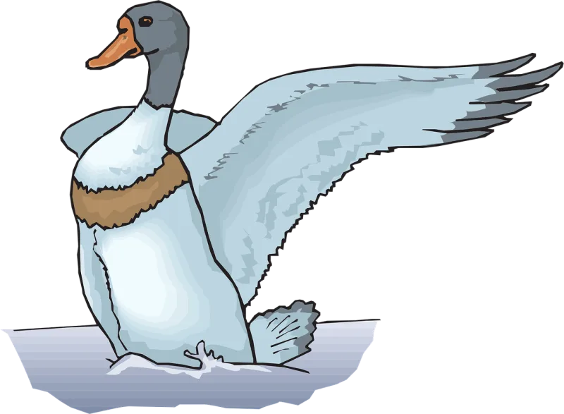 Water Blue Duck Stickdatei – Natur