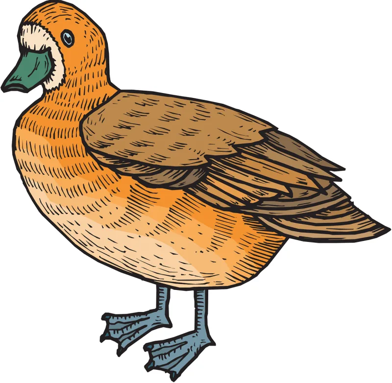 Brown Orange Bird Stickdatei – Natur