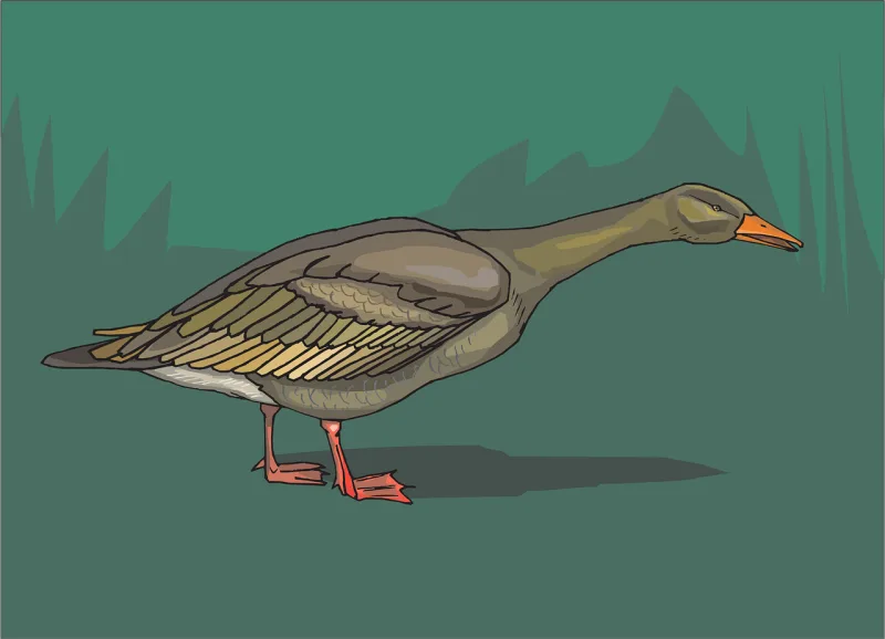 Bird Duck Nature Stickdatei – Natur