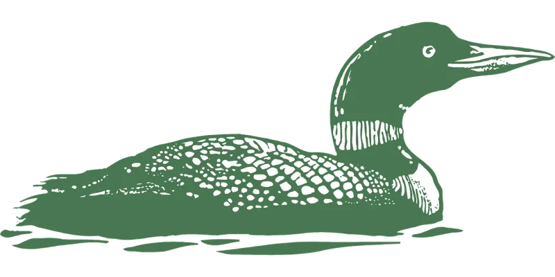 Green Bird Waterfowl Stickdatei – Sport