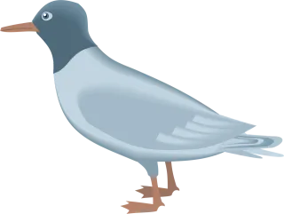 Blue Bird Gull Stickdatei