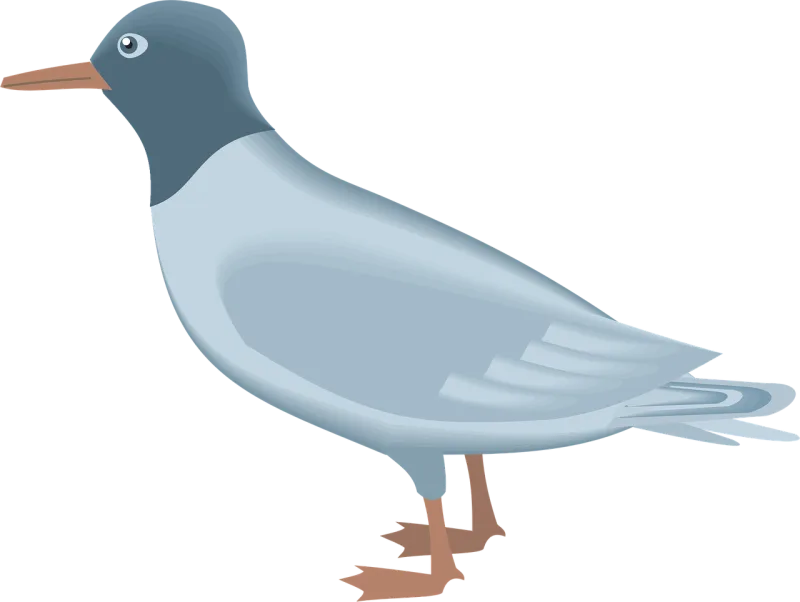 Blue Bird Gull Stickdatei – Natur