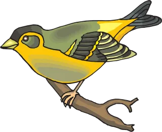 Bird Branch Wings Stickdatei