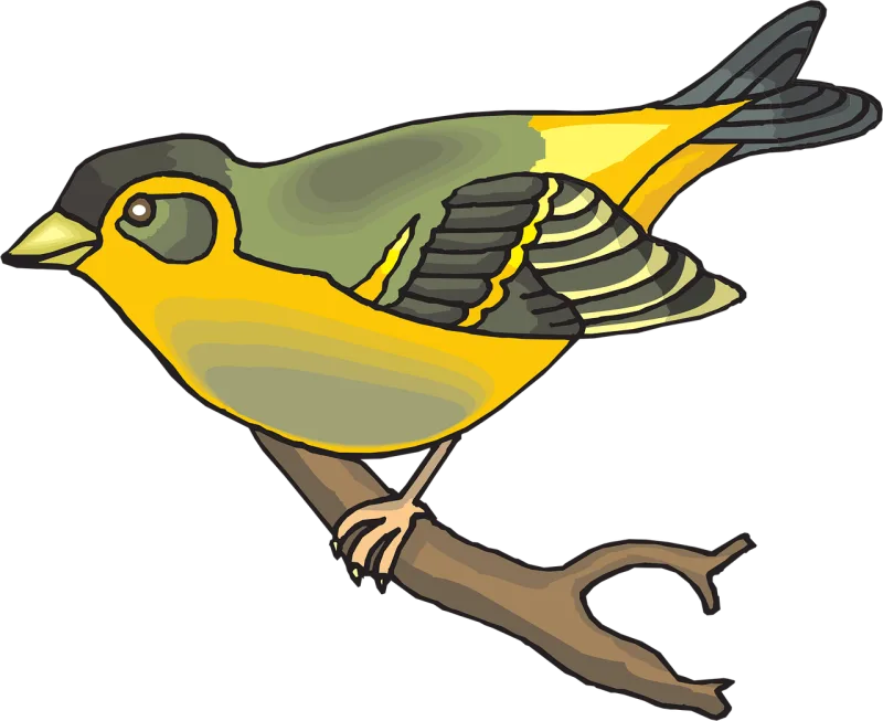 Bird Branch Wings Stickdatei – Natur