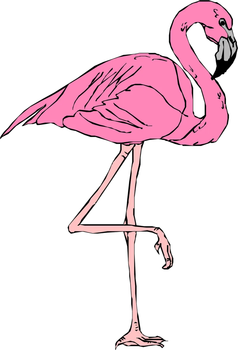 Flamingo Pink Bird Stickdatei – Tiere