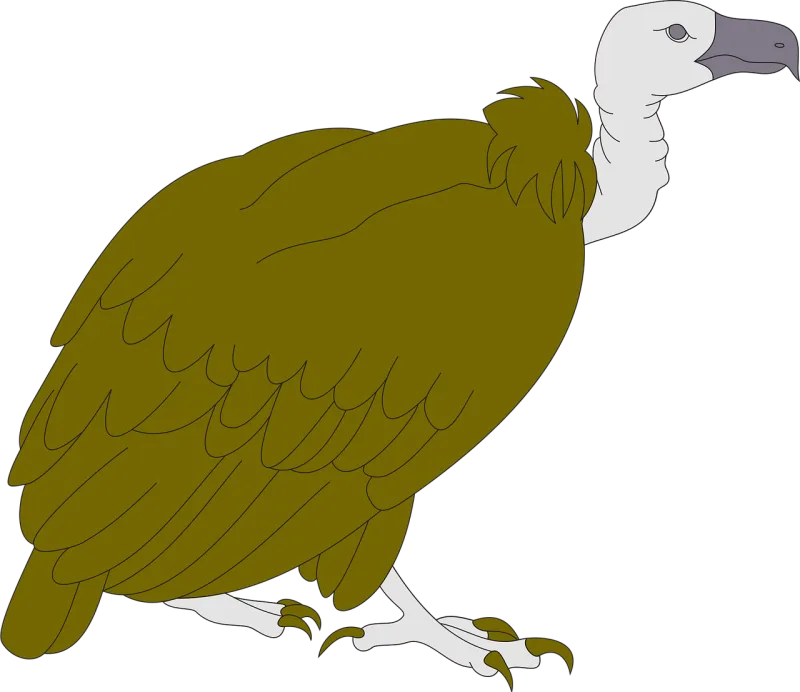 Vulture Bird Wildlife Stickdatei – Natur
