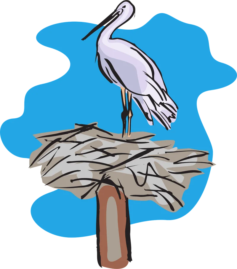 Pelican Bird Fowl Stickdatei – Natur