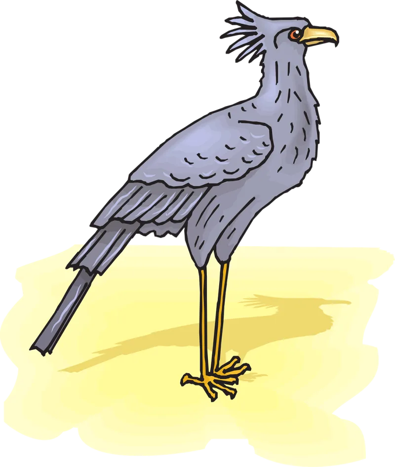 Secretary Bird Nature Stickdatei – Natur
