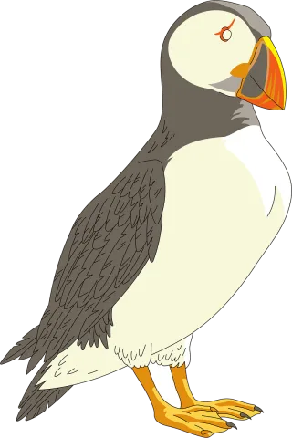 Puffin Horned Bird Stickdatei