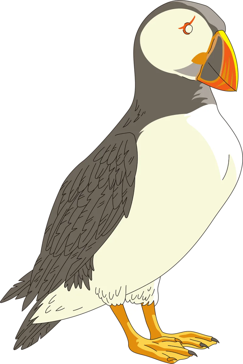 Puffin Horned Bird Stickdatei – Natur