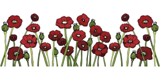 Poppy fields Poppy flower Red flower Stickdatei
