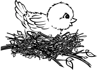 Baby Nature Bird Stickdatei