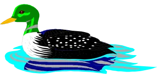 Water Bird Swimming Stickdatei