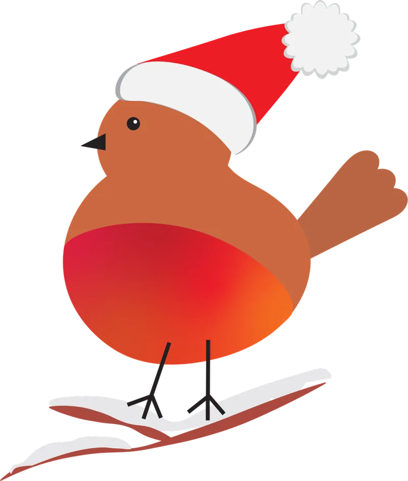 Robin Redbreast Bird Stickdatei – Weihnachten