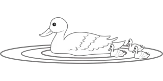 Duck Water Swimming Stickdatei