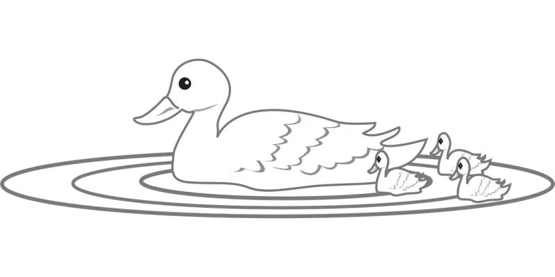 Duck Water Swimming Stickdatei – Sport