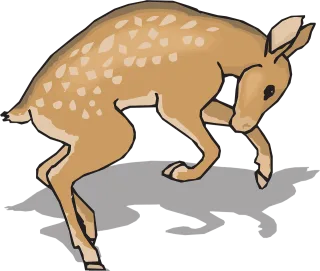 Fawn Animal Deer Stickdatei