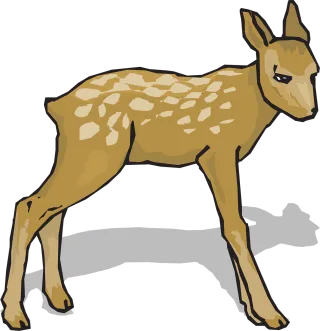 Fawn Animal Deer Stickdatei