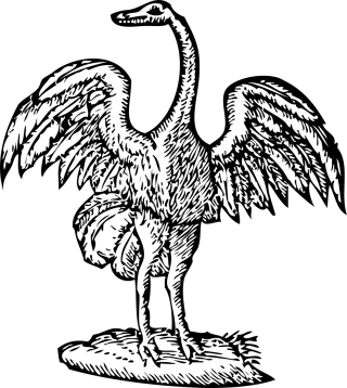 Bird Wings Beak Stickdatei – Kinder