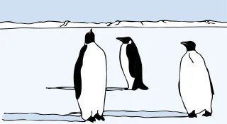 Penguins Animals Birds Stickdatei – Weihnachten